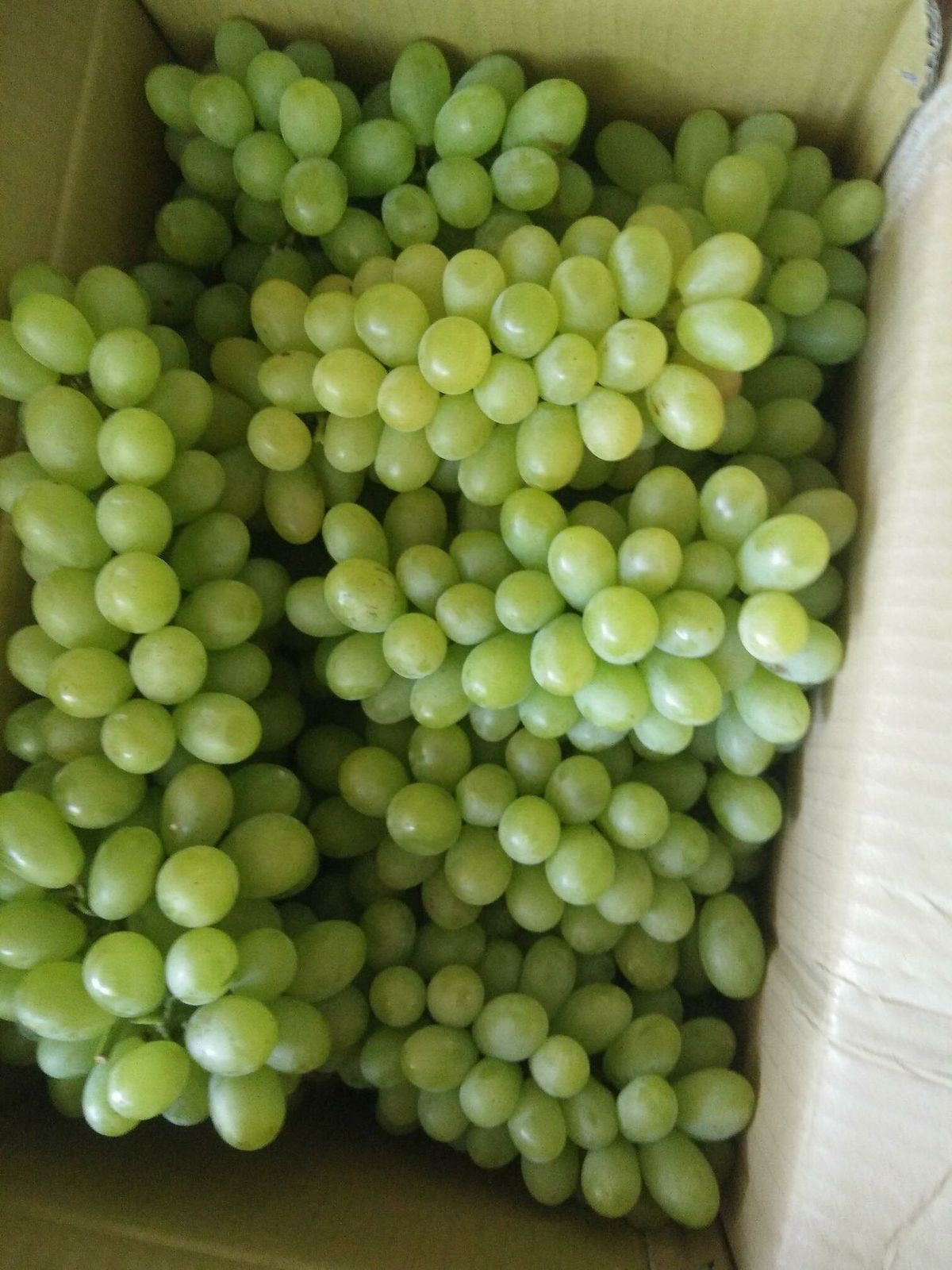 Green Grapes