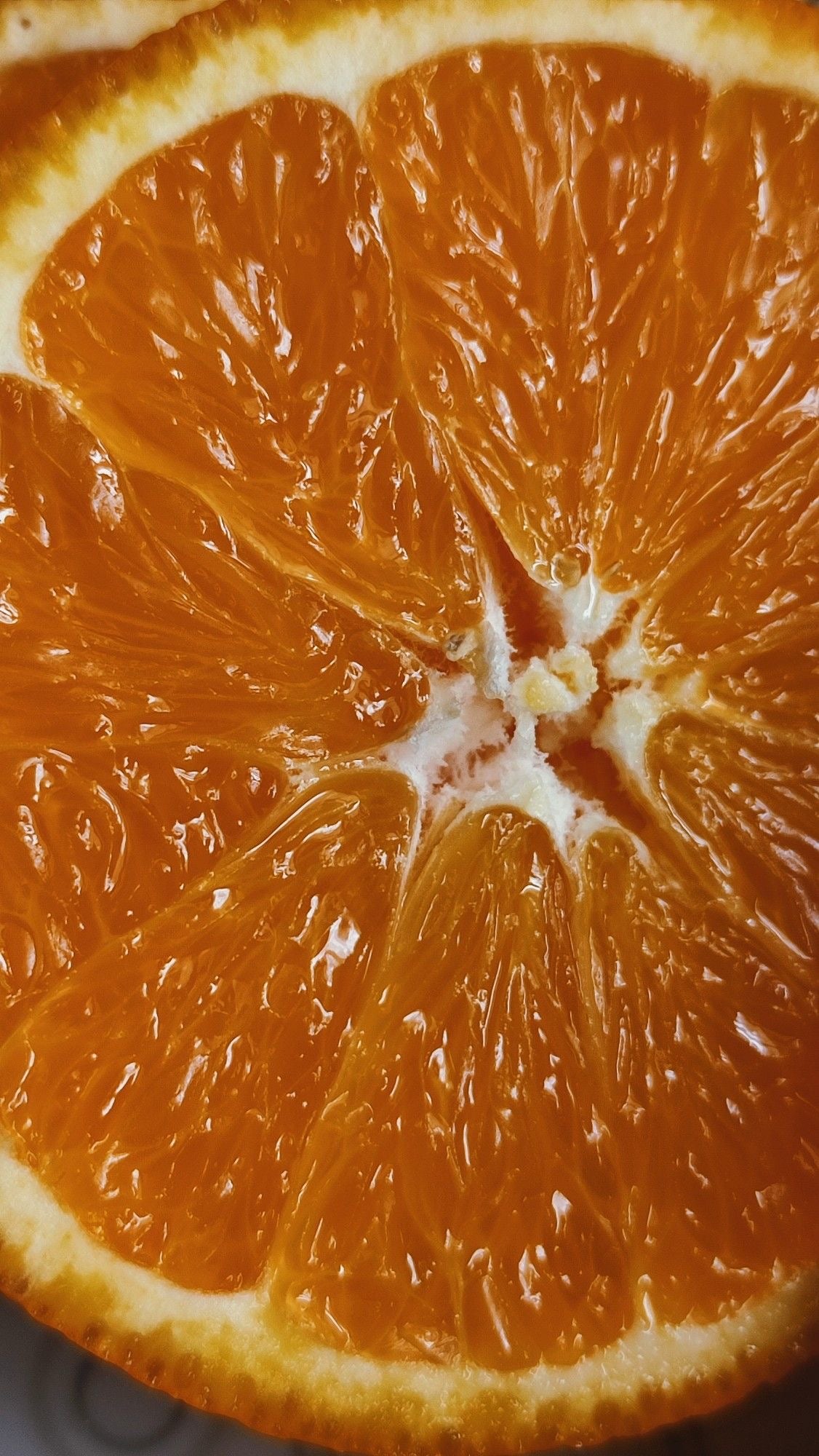 Naval Oranges