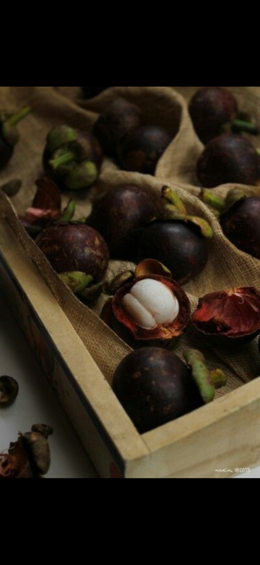 Mangosteen