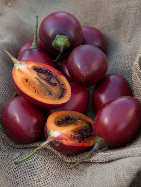 Red Tamarillo - Large