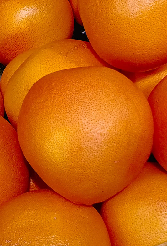Whole Grapefruit